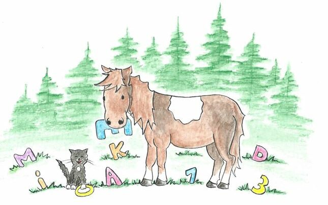Pferd Zeichnung