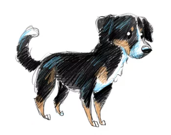 Hund Zeichnung